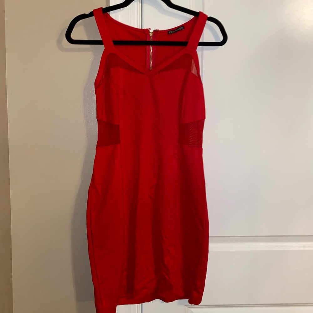 Express size 6 mesh dress
